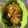 Cooksnap dari Arina U untuk resep Mie Goreng Jamur Kuping