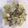 QBee Sindy Chien 的 洋蔥炒肉片 cooksnap