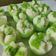 Cooksnap dari Hestina Lukmaningrum untuk resep Apem beras tape singkong