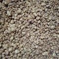 Cooksnap dari Aswardj Wawaji untuk resep Kacang Kentucky