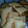 El cooksnap de Macarena Méndez cuando hizo Tortas fritas dulces.