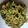Asha Ghosh's cooksnap of when they made লাউয়ের খোসা ভাজা (Lauer khosa bhaja recipe in Bengali).