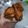 Cooksnap dari Christin Wijaya untuk resep Ayam Goreng Ketumbar