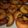 El cooksnap de Vanessa Robles cuando hizo Rosquetes con thermomix.