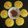 Aanal Avashiya Chhaya's cooksnap of when they made ખાટા ઢોકળા (steamed).
