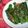 Cooksnap dari UmmLiSyaf untuk resep Cah kailan