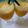 Naila Asif's cooksnap of when they made Peach juice recipe.