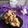 Cooksnap dari Elariesta Wahid untuk resep 21. Ayam keriting ala angkring(awet kriuknya)