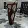 Tulsi Shaherawala's cooksnap of when they made ચોકલેટ મિલ્ક શેક(Chocolate milk shake recipe in gujarati).