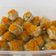 Cooksnap dari Maulida Kartika untuk resep Dimsum ayam udang maknyuss