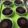 Cooksnap dari Kumala71 untuk resep Oreo Dessert Bowl with Fiber Creme (Lumer)