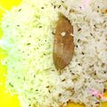 Asha Galiyal का कुकस्नैप जब उन्होंने जीरा राइस (jeera rice recipe in Hindi) बनाया था।