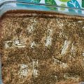صورة من استغفر الله وأتوب إليه ، شاركها بعد تجربة وصفة كيكه الزعتر والجبن