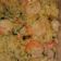 El cooksnap de matilde arzola cuando hizo Arroz con Camarones.