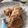 El cooksnap de Julieta Leal Rosales cuando hizo Canelones de carne y choclo.
