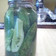 kate's cooksnap of when they made Quick Pickle (Cucumber).