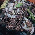 El cooksnap de KARLA CARDENAS cuando hizo Moronga o rellena con epazote, chile y cebolla.