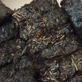 Cooksnap dari Misda Chaniago untuk resep Brownies panggang simple