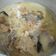 Cooksnap dari Silvia Dps untuk resep Opor Ayam Putih (Tanpa Kunyit)