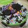 Cooksnap dari Siva Alesha_Kitchen untuk resep Brownis kukus pelangi