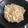 Cooksnap dari meme untuk resep Nasi goreng putih