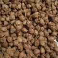 Cooksnap dari Mom's CK untuk resep Kacang Disco Khas Bali