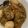 Cooksnap dari Franceline Gladys untuk resep Cukiok / Samcan masak Kecap