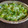 Jasmin Motta _ #BeingMotta's cooksnap of when they made Cucumber salad.