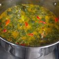 Cooksnap dari Mama ALBA untuk resep Gulai Daun Singkong + Telur