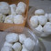 Cooksnap dari noviyanti ardoyo untuk resep Putri salju almond nyesss,simpel,no ribet(cuma 4 bahan)😋😋