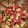 Fred Beard's cooksnap of when they made Red, white, and green salad.