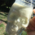 El cooksnap de Victoria Sala cuando hizo Smoothie de kiwi manzana y yogurt.