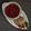 Sujata Gengaje's cooksnap of when they made 
