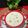 Rita Talukdar Adak's cooksnap of when they made Nolen Gur Payesh (Bengali Kheer).