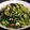 秉珊媽Plenty 的 金沙皮蛋炒菠菜 cooksnap