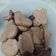 El cooksnap de Jesica Riccioni cuando hizo Galletitas de chocolate súper fáciles.