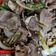 Cooksnap dari Faiza Yahya untuk resep Oseng lidah sapi cabe ijo