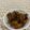Cooksnap Inaz Sa’ad semasa beliau membuat Ayam masak Kam Heong.