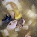 胡淑芬 的 鳳梨苦瓜雞湯 cooksnap