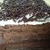 Cooksnap dari Sifa Kumala untuk resep Brownies Kukus