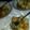 Cooksnap dari Aulia Syahrani (aulisya) untuk resep Cilok