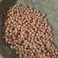 Cooksnap dari Hilmah Yanti untuk resep Kacang Telur Renyah