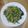 Cooksnap dari Hellen Muliawan untuk resep Tumis Bunga Pepaya (Ga Pake Pahit)