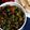 Lavika Gupta का कुकस्नैप जब उन्होंने भरवा भिंडी (bharwa bhindi recipe in Hindi) बनाया था।