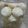 Cooksnap dari Mama Chayra untuk resep Dancow Cookies