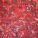 El cooksnap de Leandro Ariel Gimenez cuando hizo Tarta de frutilla, dulce de leche y crema.