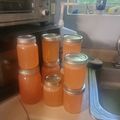 Charles Goldy's cooksnap of when they made Strawberry Lemonade Moonshine.