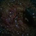 Cooksnap dari Febri Astuti untuk resep Sambel Pecel Lele ala Megie