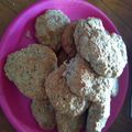 El cooksnap de carina cuando hizo Galletitas de avena y manzana.