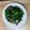  Ting匠手作 的 介蘭菜炒豬肉絲(簡單料理) cooksnap